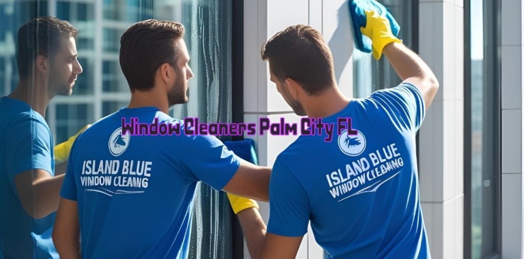 Window Cleaners Palm City FL