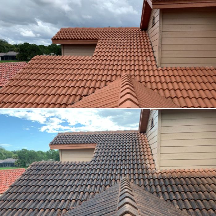 Tile roof before and after soft-wash roof cleaning