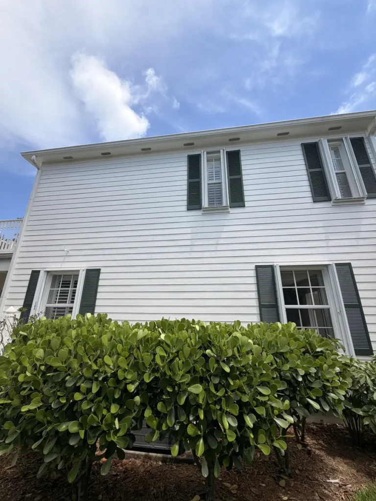 Clean painted siding above trimmed landscaping