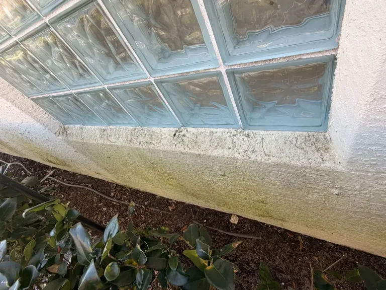 Glass block window and lower stucco wall with green growth before house washing in Port St. Lucie
