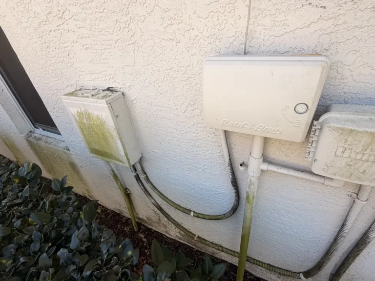 Stucco wall with green growth around irrigation controllers before house washing in Port St. Lucie